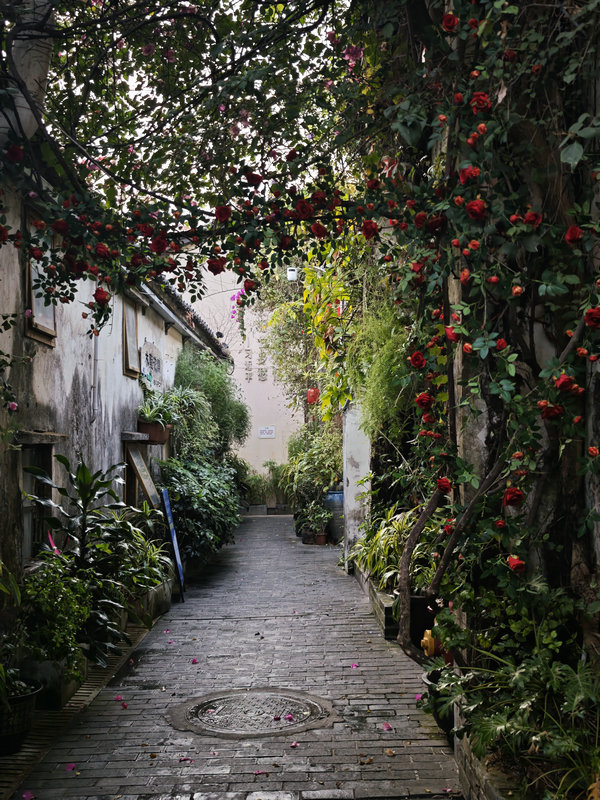 Travel bookings surge ahead of Qingming Festival